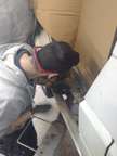49